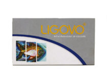 آبرنگ 24 رنگ آرتيست ligovo - سنت پترزبورگ